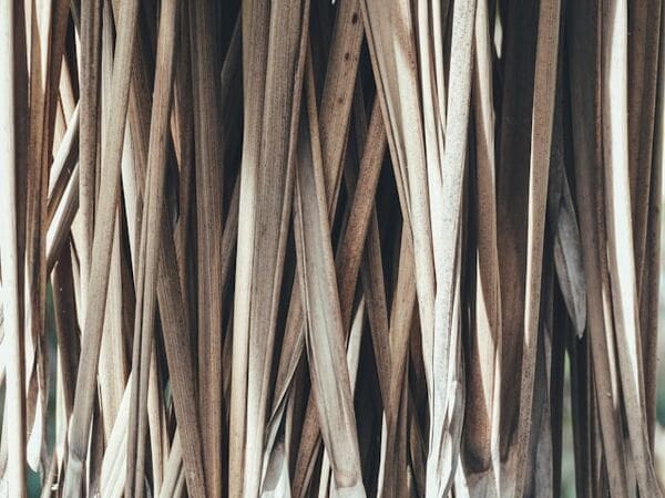 MB Paper’s: da impagliatori di sedie a leader globale nei cordini di carta per shopper