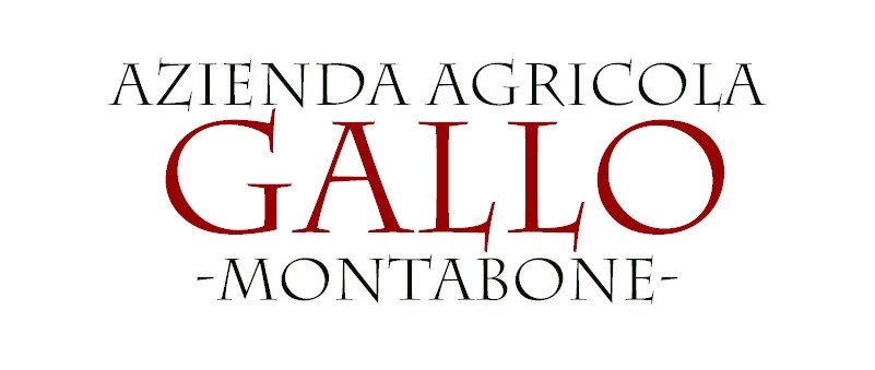 Azienda Agricola Gallo: quando la qualità dell’uovo diventa una scelta di vita